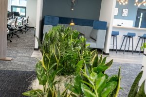 Modern office design with meeting pod and plants